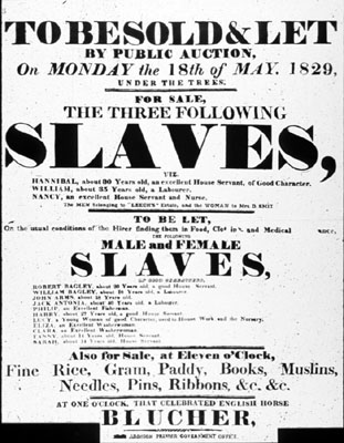 slave poster